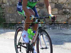 Davide Bardelloni