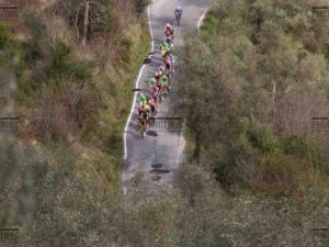 Ciclismo 2014